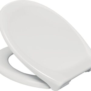ALTERNA Declips soft close and removable toilet seat 45x37.6 cm, Ref. 95900311. Nigeria's most loved e-commerce platform delivers affordable shopping solutions to your doorstep.