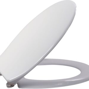 ALTERNA MOTUS 2 soft close seat 44.5X37.6, Ref.F105S.S21D. DIAYTAR NIGERIA provides endless shopping possibilities with affordable prices and prompt delivery service.