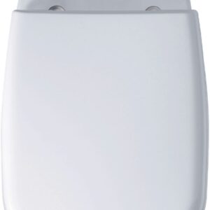 DURAVIT D-CODE stainless steel hinged seat, White ref. 67310000. Discover shopping made simple with DIAYTAR NIGERIA's comprehensive platform and nationwide delivery service.