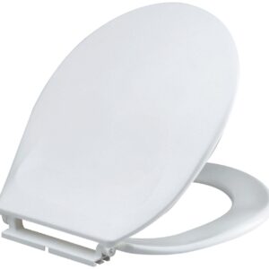 SIAMP MONACO Thermoplastic White double seat ref. 48710117. Nigeria-Materiels.com offers a comprehensive range of plumbing and industrial materials. Shop with us for reliable solutions.