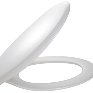 JACOB DELAFON BRIVE toilet seat with white metal hinges, Ref.E4357G-00. DIAYTAR NIGERIA: Where every Nigerian finds what they need at prices they can afford, delivered promptly.
