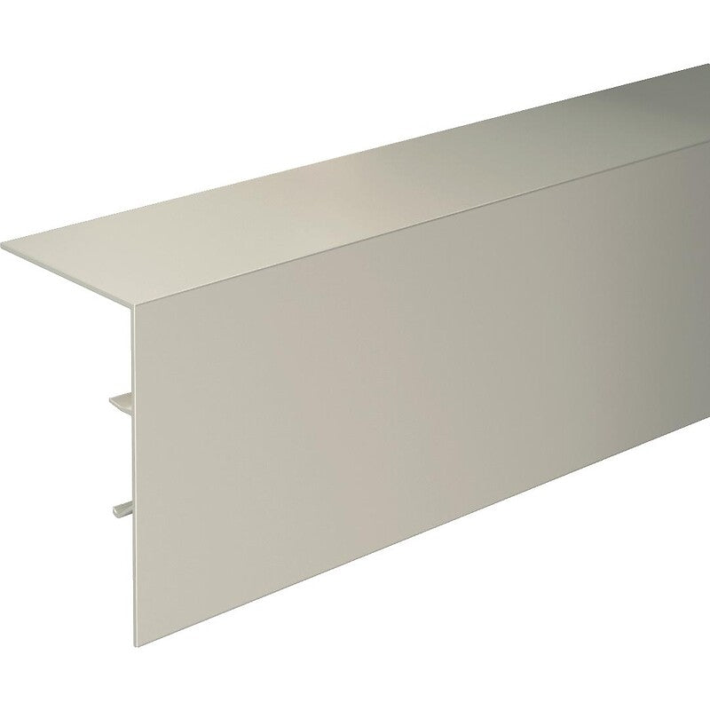 SAF Evolution rail cover finishing strip - wall mounting - length 3000 mm with 3 rail mounting clips. DIAYTAR NIGERIA: Your affordable gateway to thousands of products shipped nationwide within the week.