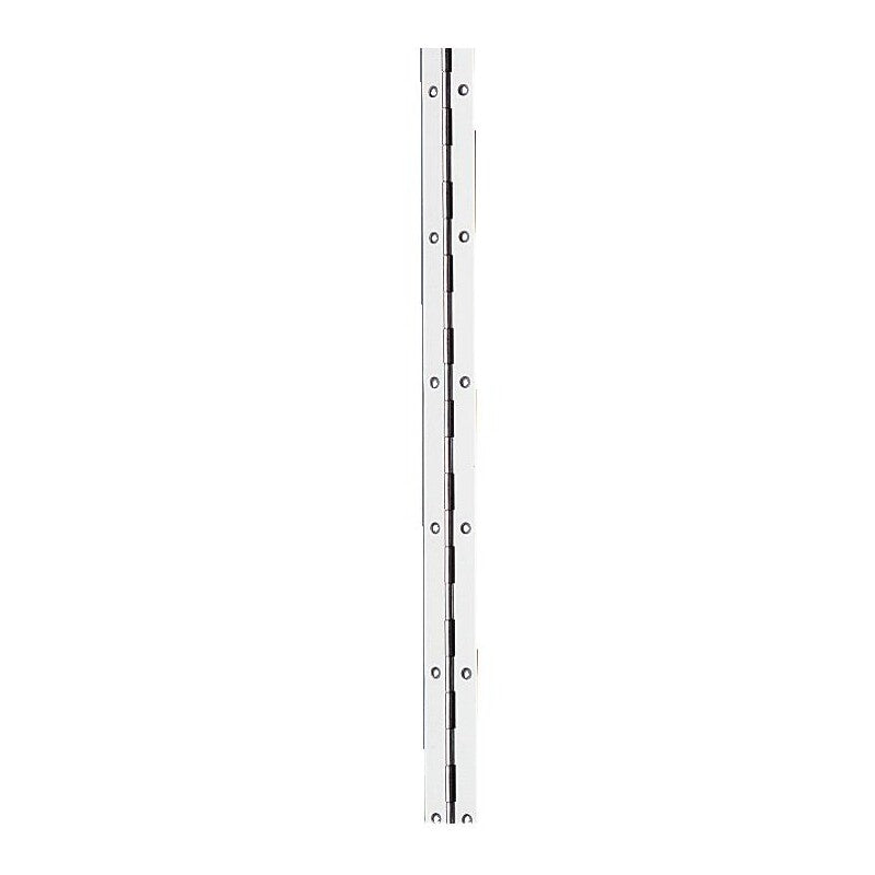 Single leaf piano hinges polished brass, steel axle - length 1980 mm, width 40 mm. Shop from Nigeria's largest product selection at DIAYTAR, with budget-friendly prices and swift delivery.