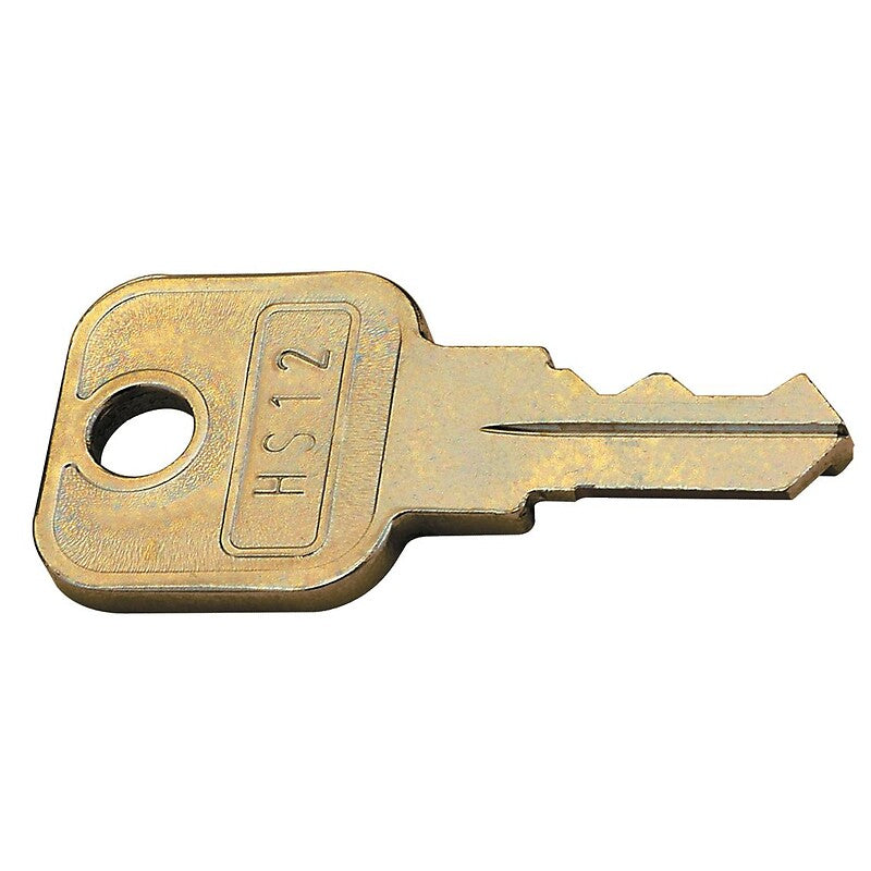 General master key for interchangeable cylinders Z 23 Ø18. DIAYTAR NIGERIA transforms online shopping with competitive prices and dependable nationwide delivery.
