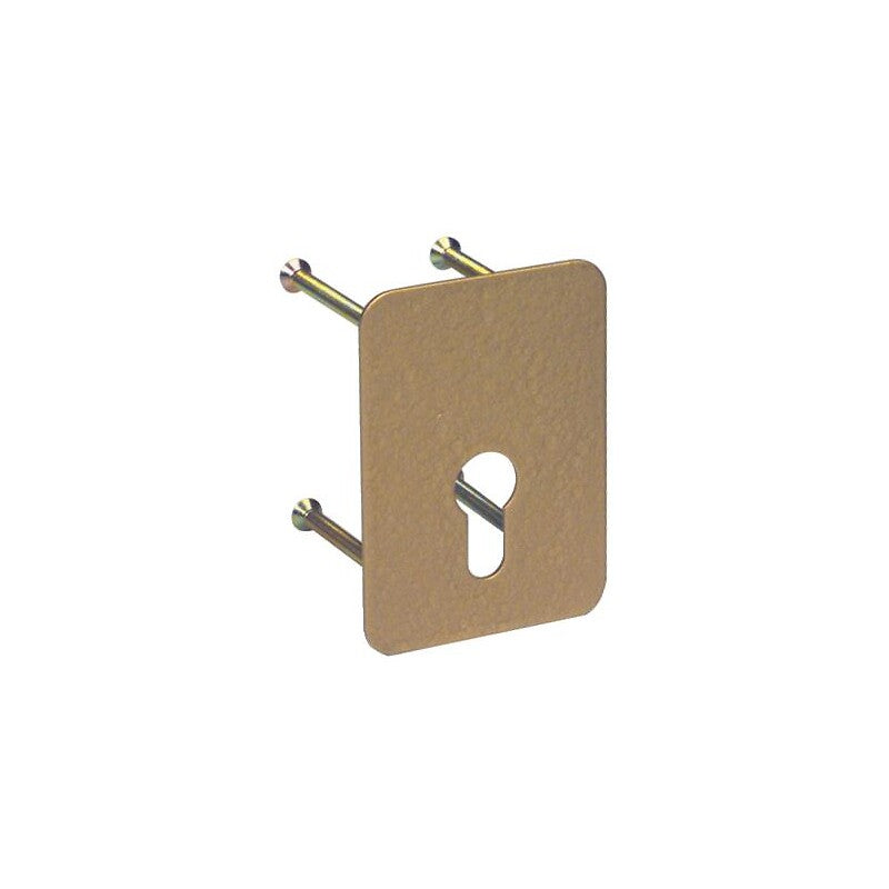 Counter plate for Arnov BRZ lock. DIAYTAR NIGERIA: Where affordability meets variety, with thousands of products delivered in less than 8 days.
