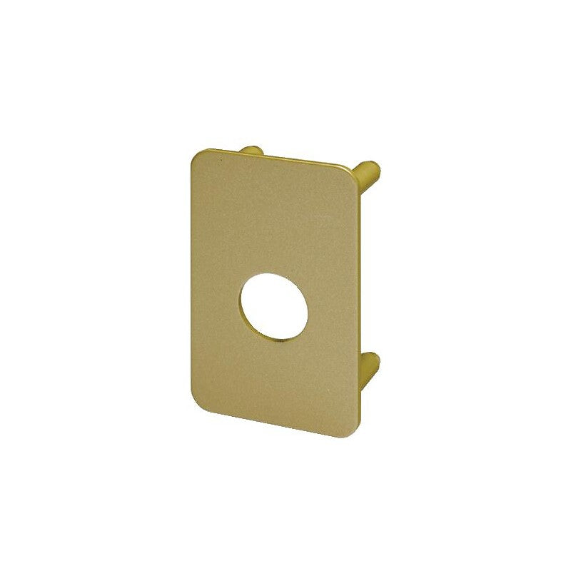 Radialis lock backplate. DIAYTAR NIGERIA: Where every purchase is affordable and delivery is always within a week.