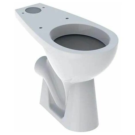BASTIA raised toilet bowl, horizontal outlet, white ref. 328000000. DIAYTAR NIGERIA combines extensive variety with budget-friendly prices and prompt nationwide delivery.