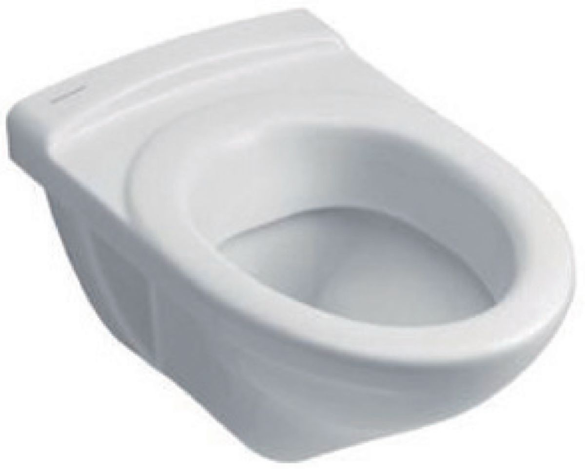 HOSPITAL JACOB DELAFON white wall-hung toilet bowl 53.5x36 6L without lid, integrated ceramic seat, Ref.E1755-00. DIAYTAR NIGERIA connects you with endless possibilities through our affordable e-commerce platform.