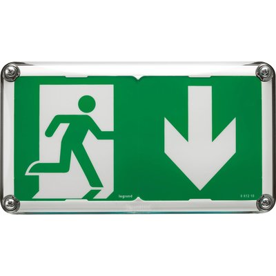 Legrand - Surface-mounted evacuation BAES IP66 IK10 plastic SATI connected for ERP and ERT. Your digital shopping ally, DIAYTAR NIGERIA offers extensive selection with budget-friendly delivery.