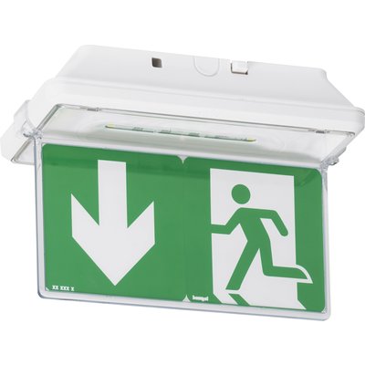 Legrand - Vertical evacuation signal plate for BAES IP43. Shop with purpose at DIAYTAR NIGERIA, where your money goes further and delivery is always prompt.
