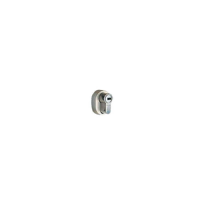 Module with NT cylinder for 20000 A2P* lock, 40 mm axle. DIAYTAR NIGERIA: Where shopping dreams come true with budget-friendly prices and nationwide shipping.