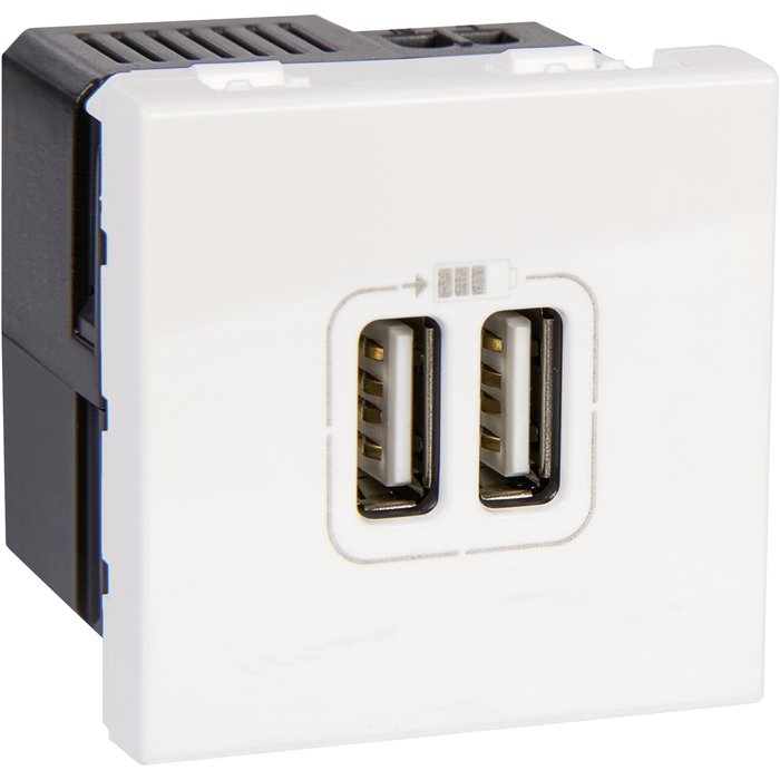 Module de charge 2 USB type A Mosaic - blanc - 2400 mA. Shop with confidence at DIAYTAR NIGERIA, offering thousands of products with budget-friendly shipping.