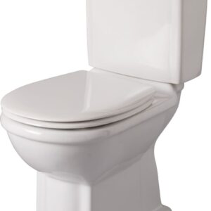 ALTERNA WC pack Antica bowl and cistern without white seat. Experience retail therapy without the financial stress at DIAYTAR NIGERIA's budget-friendly marketplace.
