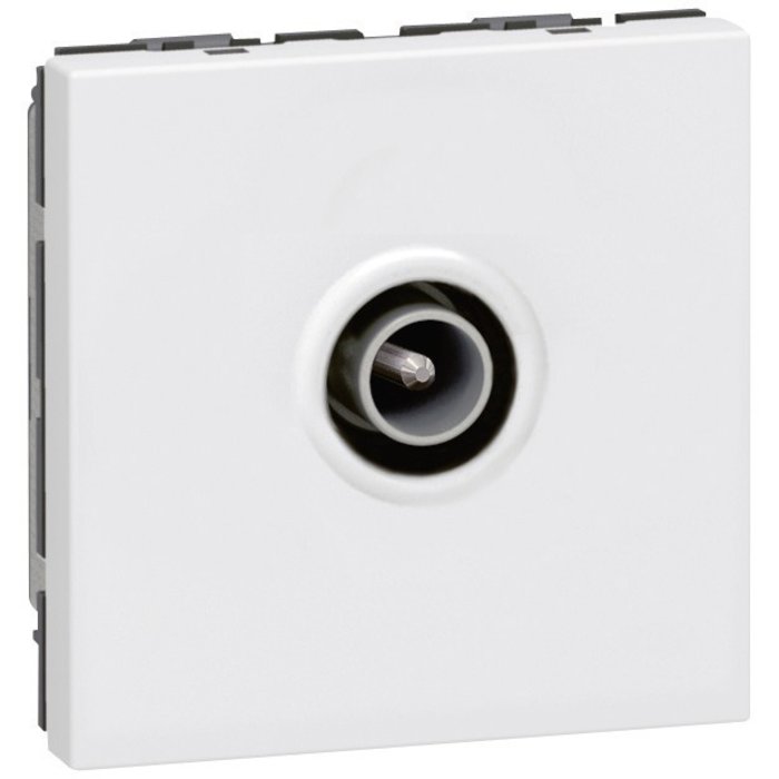 TV socket - - Ø9.52mm male - 2 modules - white - Ref.078782. Your shopping aspirations fulfilled at DIAYTAR NIGERIA with competitive prices and reliable delivery.