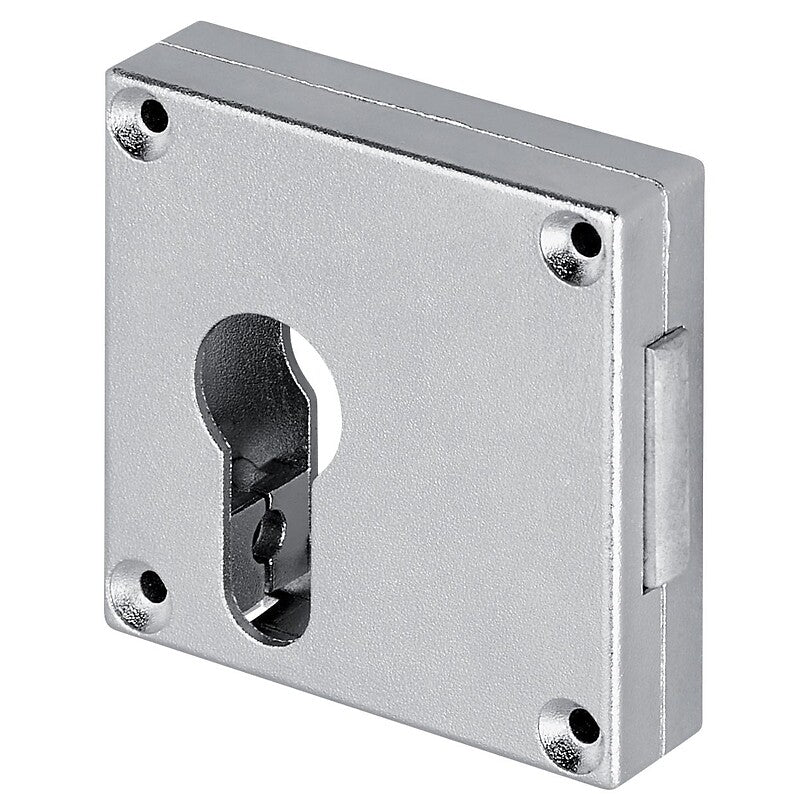 Grained zamak European cylinder lock 60x60mm 40mm axle with strike plate, cylinder screw and captive key piece - Madame. DIAYTAR NIGERIA: Where shopping dreams come true with budget-friendly prices and nationwide shipping.