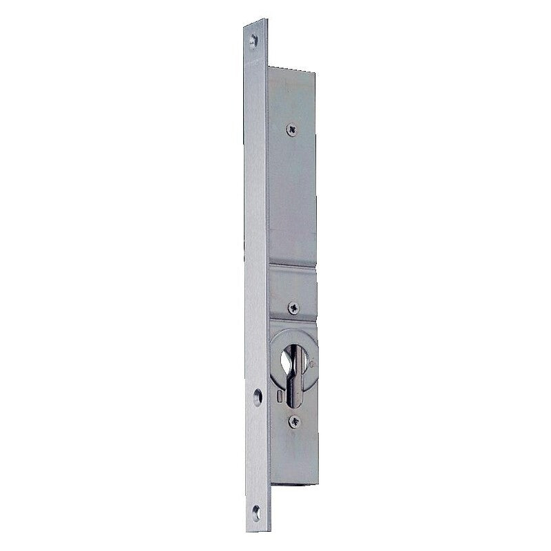 2-point mortise lock with top and bottom locking rods, 21 mm axle - Variaxe 2253. Discover the joy of online shopping with DIAYTAR NIGERIA's budget-friendly prices and reliable shipping.
