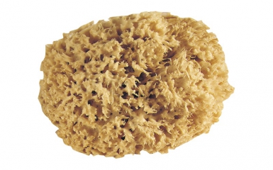 NATURAL SPONGE PRO - GERBIS - RAW 1ST CHOICE - Ø 16 CM. DIAYTAR NIGERIA: Revolutionizing how Nigerians shop with affordable prices and prompt delivery services.