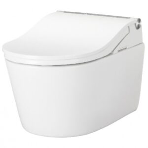 RW SEAT FOR WASHLET RP. DIAYTAR NIGERIA: Your partner in affordable e-commerce with dependable delivery across Nigeria.