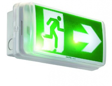 BLOC BALISAGE FLUORESCENT 4 W - N.P - 45 LUMENS - IP 42-07 - CL.2. Experience the joy of convenient shopping with DIAYTAR NIGERIA's vast selection and quick delivery service.
