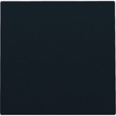 CENTRAL HOLE COVER. FINISH COLOR: BLACK STEEL. DIAYTAR NIGERIA combines affordability, variety, and convenience with nationwide delivery services.