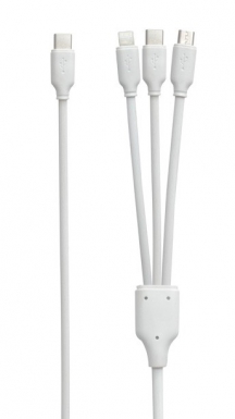 3 IN 1 TYPE C CHARGING CORDS. DIAYTAR NIGERIA: Connecting Nigerians with affordable products delivered promptly nationwide.