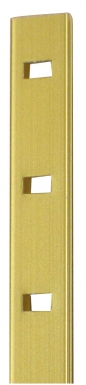 ALUMINUM RACK TO BE RECESSED 1337 LXL 13.5 MM X 2.00 M ANODIZED GOLD. DIAYTAR NIGERIA: Where affordable online shopping meets reliable delivery across Nigeria.