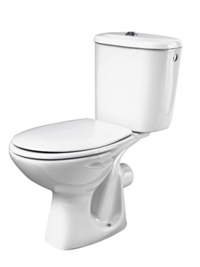 POLO ZOOM TOILET CUVETTE, HORIZONTAL OUTLET. DIAYTAR NIGERIA: Your affordable gateway to thousands of products delivered promptly nationwide.