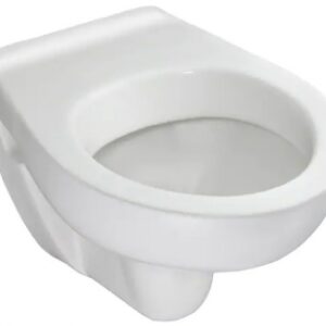 WALL-HUNG TOILET, WITHOUT SEAT HOLE BRIVE. DIAYTAR NIGERIA: Your trusted marketplace that combines variety, affordability and reliable shipping.