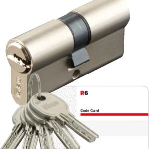 CYL. 2 ENTRIES EUROPEAN PROFILE 6 PINS (30X60) STAINLESS STEEL 5 REVERSIBLE KEYS. Experience shopping freedom with DIAYTAR NIGERIA's comprehensive platform and reliable shipping service.