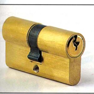 CYLINDER 2 ENTRIES EUROPEAN PROFILE JPM 5 PISTONS 40X40, POLISHED BRASS 3 KEYS. Your complete shopping solution, DIAYTAR NIGERIA offers extensive variety with budget-friendly delivery.