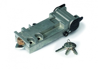 FROG UNLOCKING IDENTICAL KEYS. DIAYTAR NIGERIA delivers on convenience and affordability with our reliable nationwide shipping.