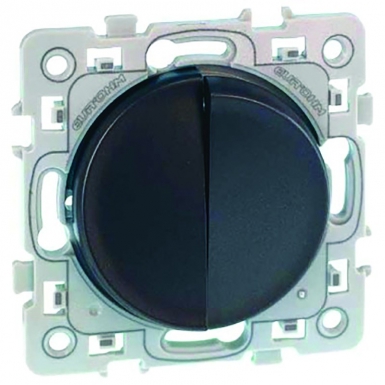 DOUBLE SWITCH 10AX - 250 V~ WITH AUTOMATIC TERMINALS - ANTHRACITE. Discover the perfect balance of price and convenience with DIAYTAR NIGERIA's nationwide e-commerce platform.