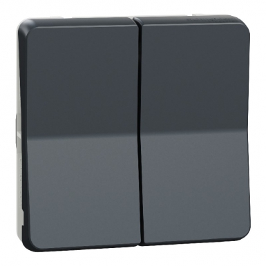 DOUBLE SWITCH - MUREVA STYL - COMPOSABLE - IP55 - IK08 - AUTOMATIC CONNECTION - GREY. Shop with intention at DIAYTAR NIGERIA, offering thousands of products delivered nationwide in days.