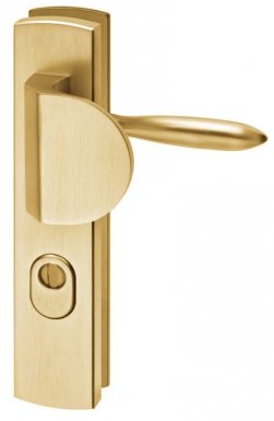 BÉQ. TRIM + EXT. PULL DOOR THICKNESS 38-46 MM ENT. 70 MM GOLD. Experience shopping without stress at DIAYTAR NIGERIA's comprehensive and budget-friendly platform.