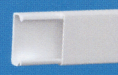 NON-PARTITIONABLE DISTRIBUTION CHUTE TA-E 15X17 1 COMPARTMENT WHITE - LENGTH 2M (BASE + COVER) - M/L. Shop across boundaries with DIAYTAR NIGERIA's comprehensive catalog delivered nationwide at budget rates.