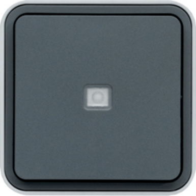 TWO-WAY SWITCH WITH INDICATOR LIGHT 10AX 250V GREY COLOR. DIAYTAR NIGERIA delivers more than products - we deliver affordable solutions within days.