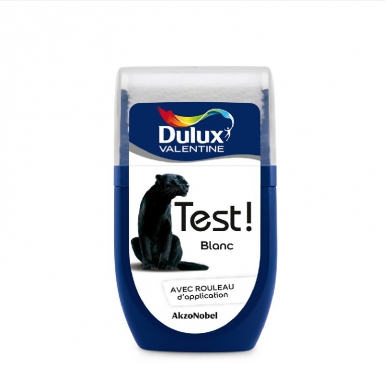 TEST PAINT! - COLOR RESIST - TESTER 30 ML - WHITE. Shop from Nigeria's largest product selection at DIAYTAR, with budget-friendly prices and swift delivery.
