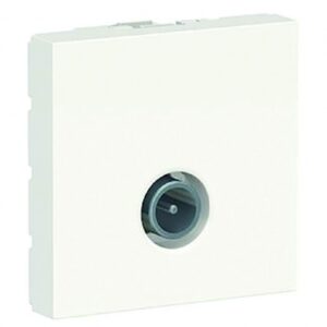 RADIO AND TELEVISION TV SOCKET MALE 2 MODULES WHITE. DIAYTAR NIGERIA: Where shopping meets satisfaction with affordable prices and delivery within 8 days.