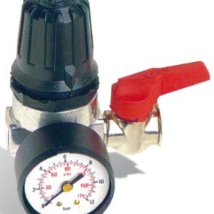 PRESSURE REDUCER - MANOMETER WITH LOCK - 20 M3/H - 8 BAR MAXI. - Ø 1/4 INLET. Shop with purpose at DIAYTAR NIGERIA and discover a world of products at budget-friendly prices.