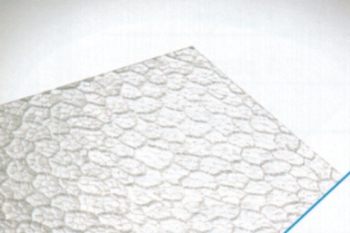 ROBEXGLAS HONEYCOMB 1 SMOOTH SIDE THICKNESS 2.5 MM PANEL 200X100 CM. DIAYTAR NIGERIA: Making online retail accessible to all with affordable nationwide shipping.