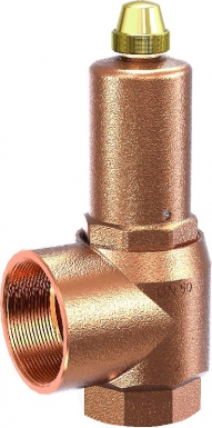 BRONZE SAFETY VALVE WITH INCREASED EXHAUST 1''1/4 (33X42) F - 7 BAR. Embrace a new era of online shopping with DIAYTAR NIGERIA's extensive range and budget-friendly prices.