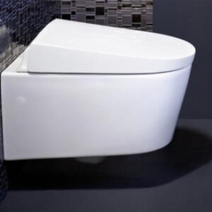 WC COMPLETE SUSPENDED GEBERIT AQUACLEAN WHITE - BLANC ALPIN. DIAYTAR NIGERIA: Where affordability and variety come together with nationwide 5-8 day delivery.