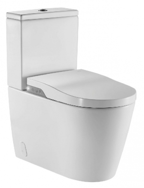 IN WASH INSPIRA FLOOR-MOUNTED SINK TOILET WITHOUT RIM - REMOTE CONTROL - SEAT WITH FALL BRAKE. Shop across boundaries at DIAYTAR NIGERIA and enjoy budget-friendly nationwide delivery within the week.