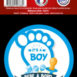 Pre-cut adhesive "baby on board - it's a boy" x1. Shop with confidence at DIAYTAR NIGERIA, offering extensive product variety with nationwide delivery.