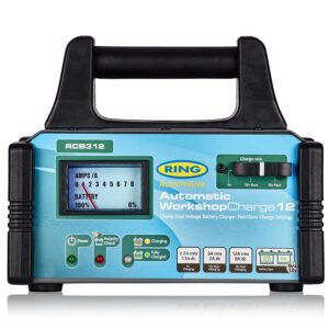 Automatic battery charger 12a 6/12v (up to 5000cm3) ring. DIAYTAR NIGERIA brings the market to your screen with thousands of affordable products delivered to your door.