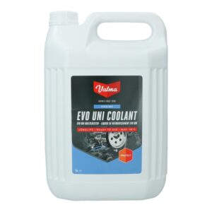 Coolant -38°c 5 liters valma w58. DIAYTAR NIGERIA: Your trusted partner for affordable online shopping with reliable delivery timeframes.